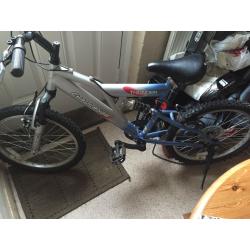 Boys bike
