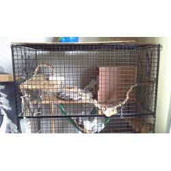 Pet cage: Large Degus cage with fittings