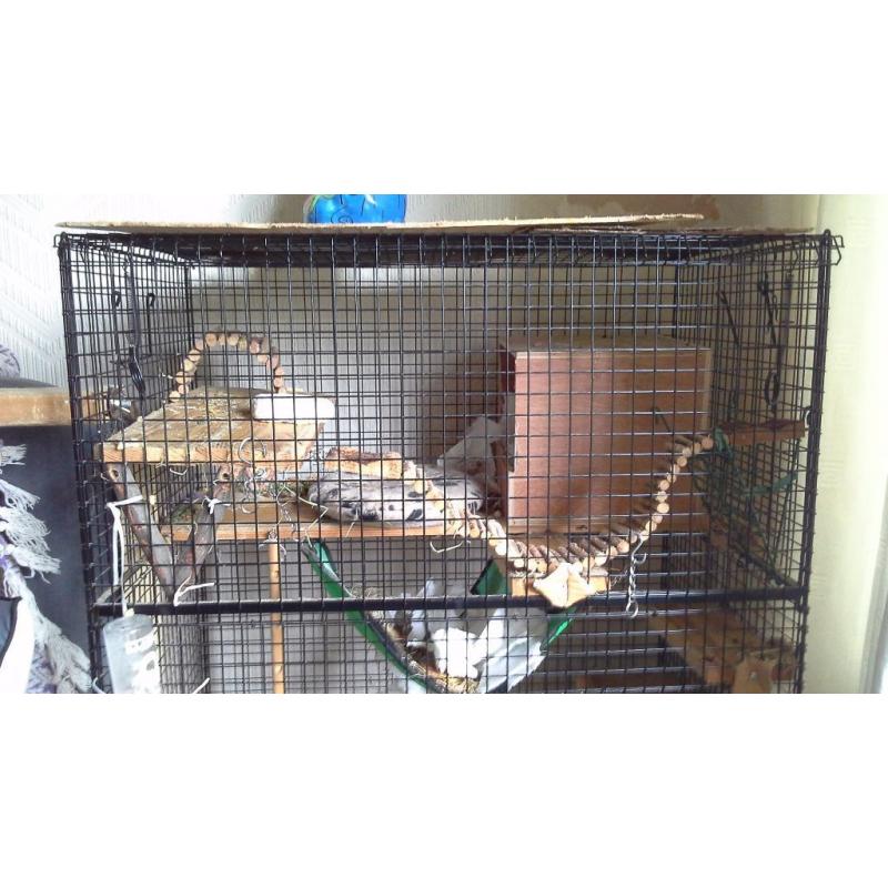 Pet cage: Large Degus cage with fittings
