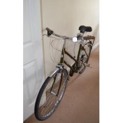 Bobbin Bramble Ladies Bike (Green)