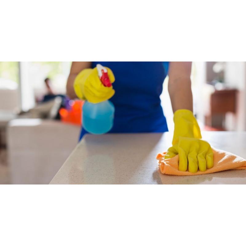 Trusted and hard-working person to ironing and cleaning private homes
