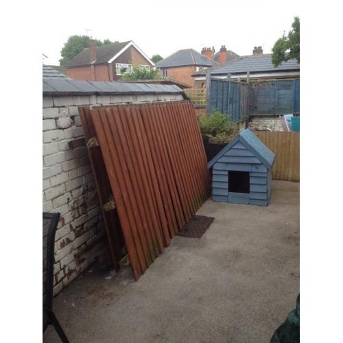 Fence panels, free to collect