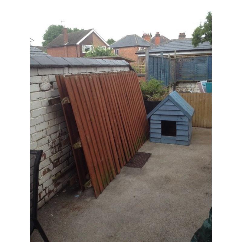 Fence panels, free to collect