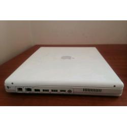Apple iBook G3/600 14-Inch (Early 2002 - Tr)