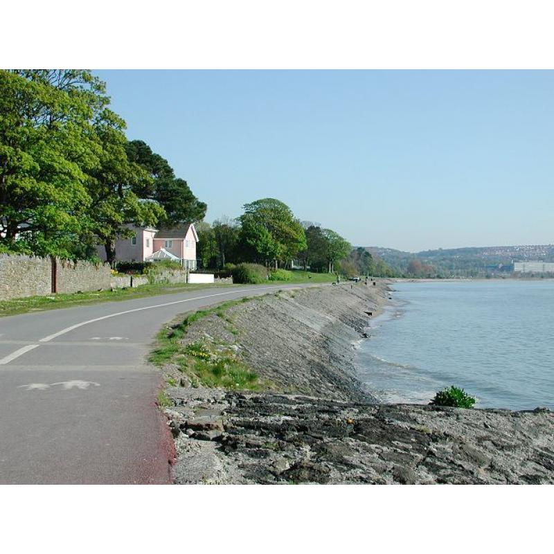 Live in Carer required full time in West Cross Swansea Gower.