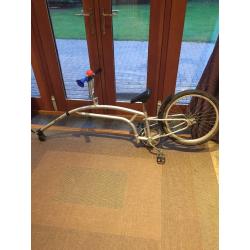 Tag a-long! Childs tag a long bike