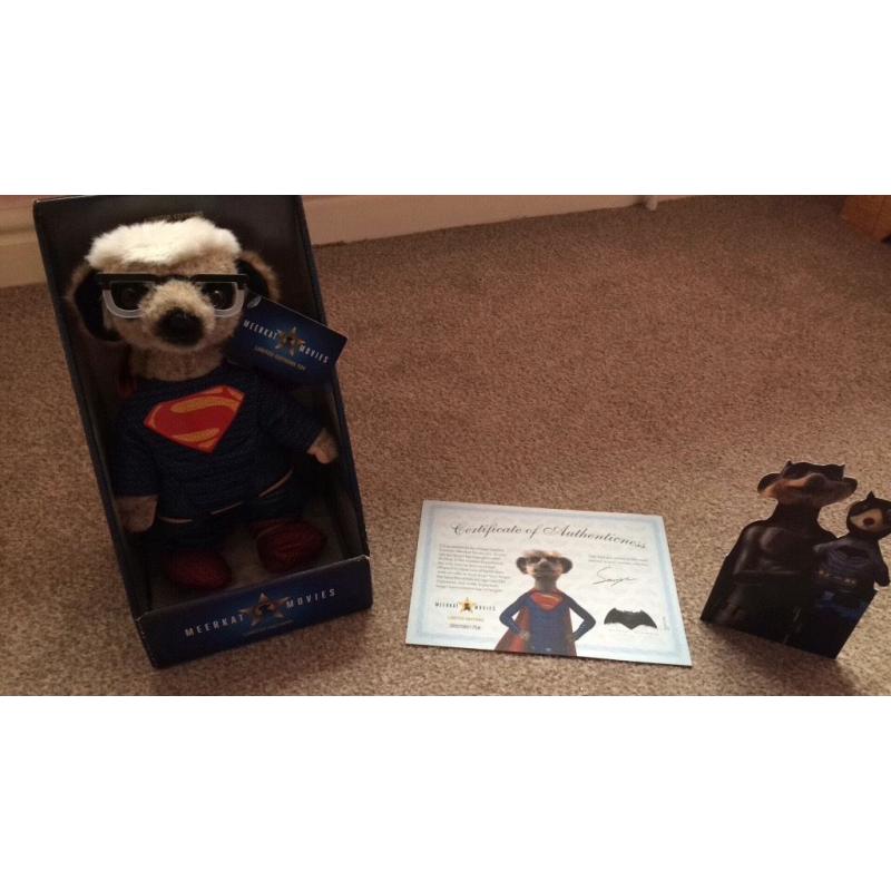 Superman meerkat