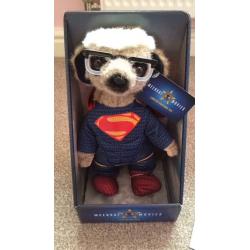 Superman meerkat