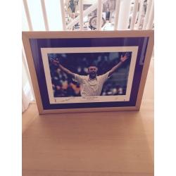 Signed Freddie Flintoff print