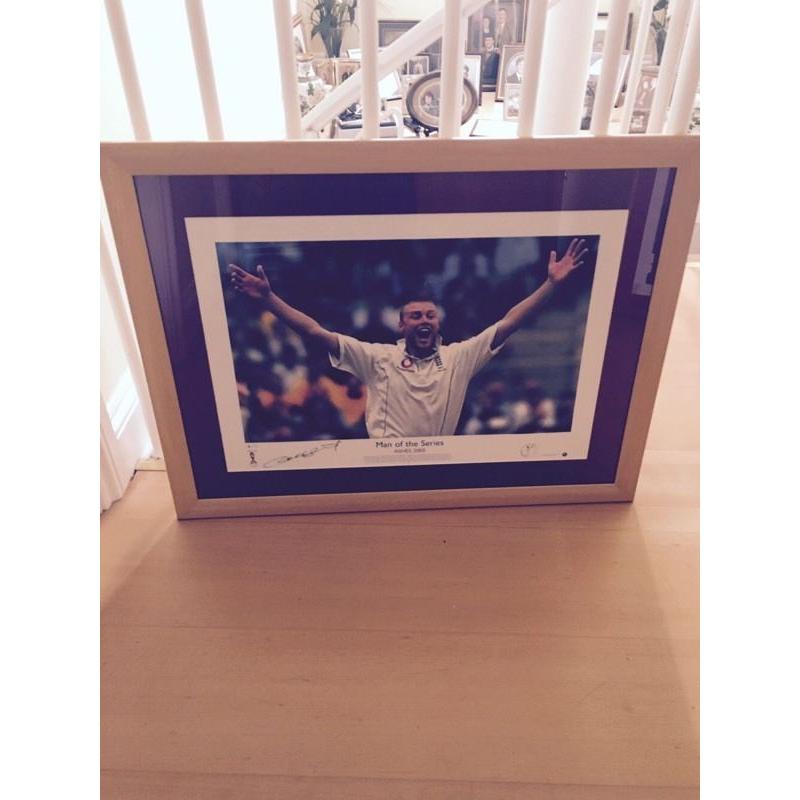 Signed Freddie Flintoff print