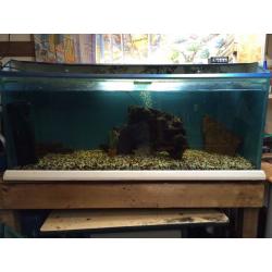 Fish tank