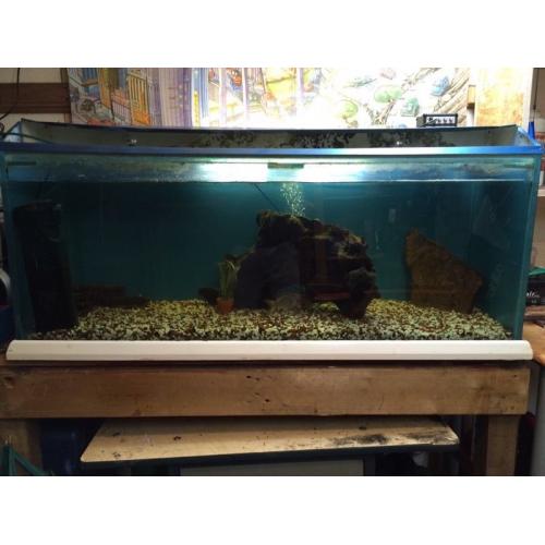 Fish tank