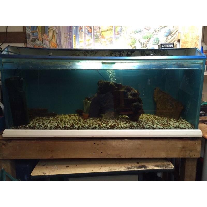 Fish tank