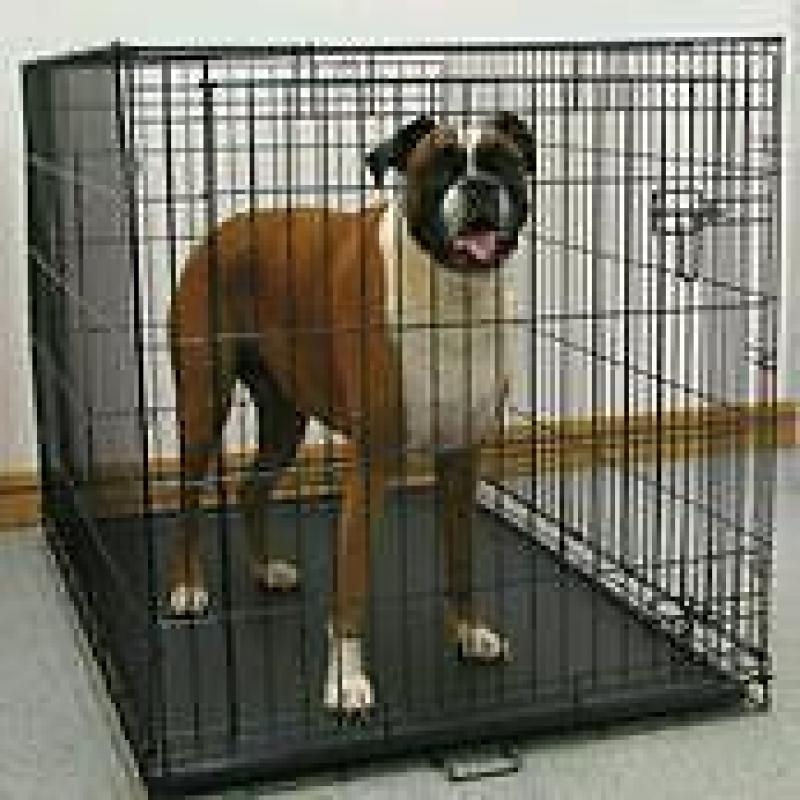 Dog cage xl