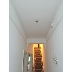 Painting & Decorating