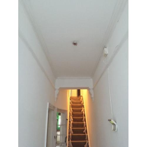 Painting & Decorating
