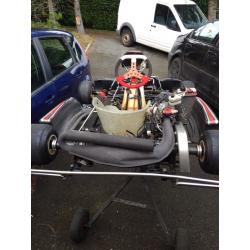 Go karts racing Rotax max