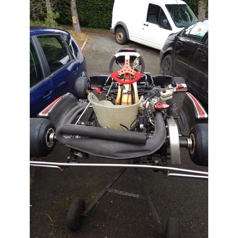 Go karts racing Rotax max