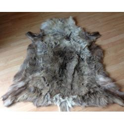 Reindeer rug