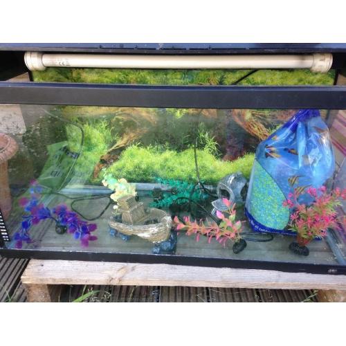 Juwel fish tank