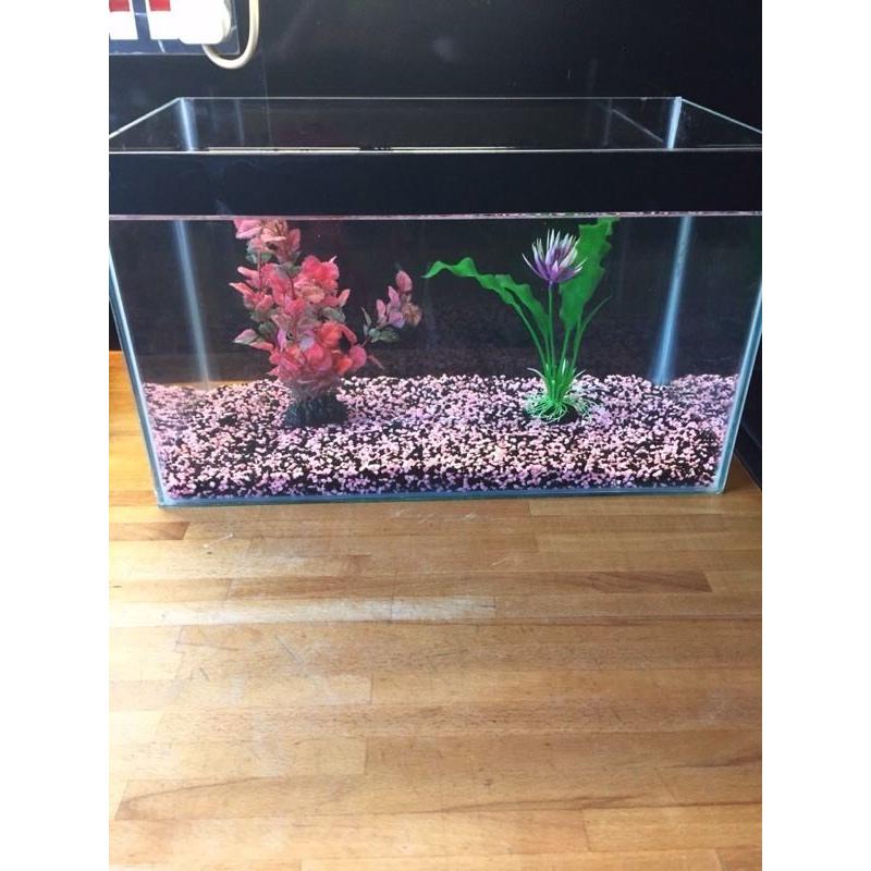 Glass aquarium fish tank