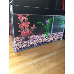 Glass aquarium fish tank
