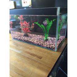 Glass aquarium fish tank