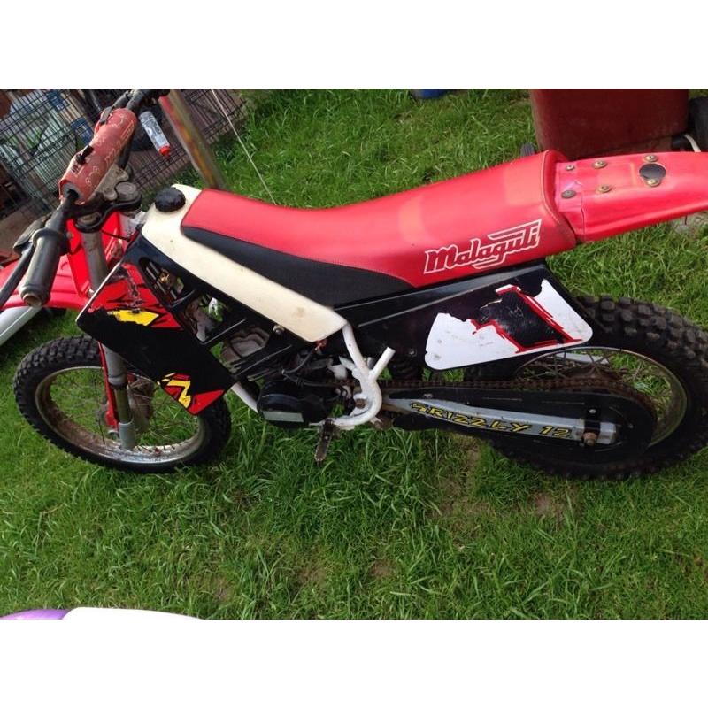 Maliguti grizzly 12