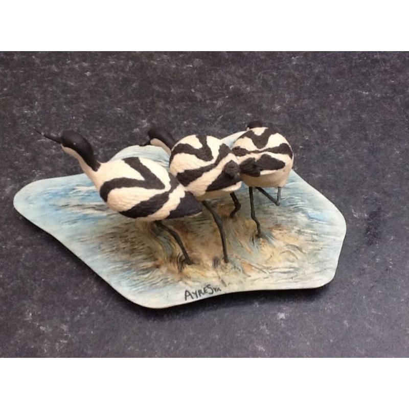 Border Fine Arts Avocets Feeding