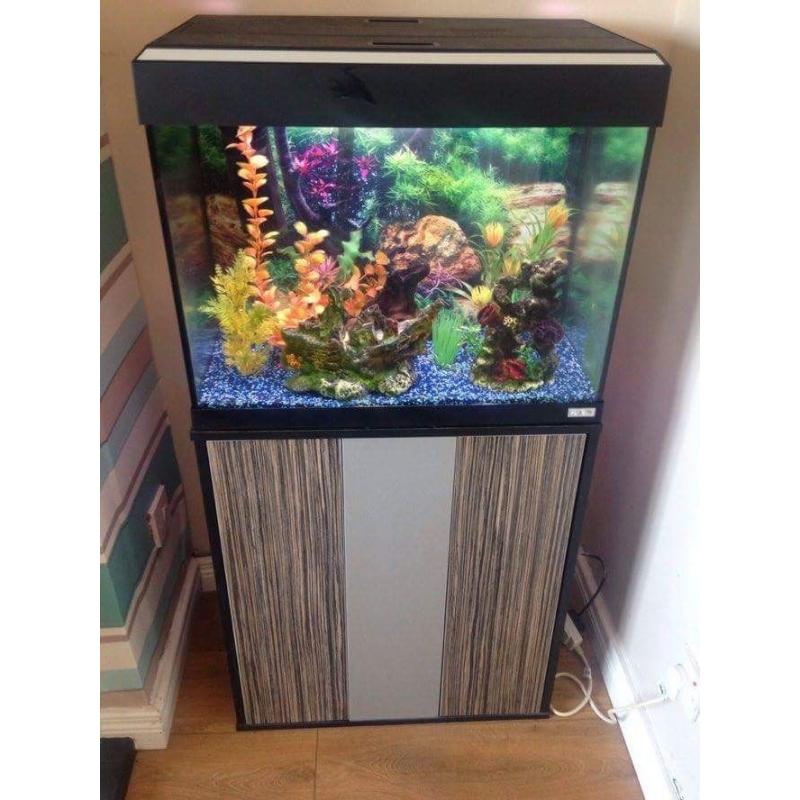 Fluval 90ltr Fish Tank