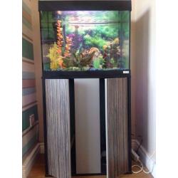 Fluval 90ltr Fish Tank