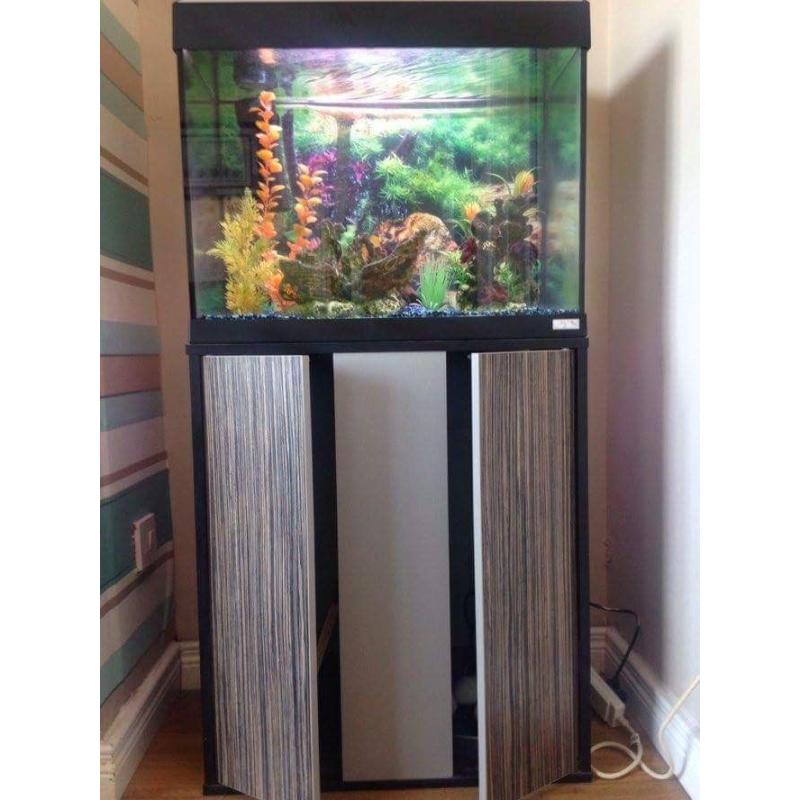 Fluval 90ltr Fish Tank