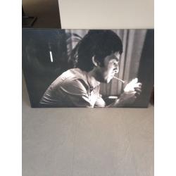 Canvas x 2 for sale