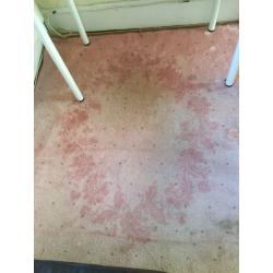 Carpet