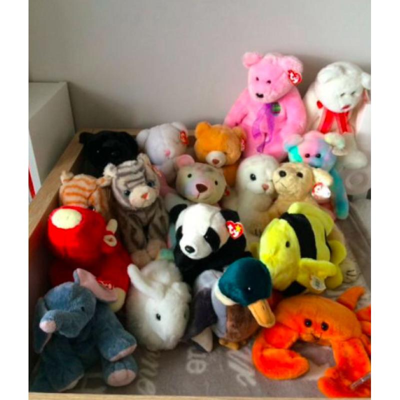 Beanie Babies and beanie buddies