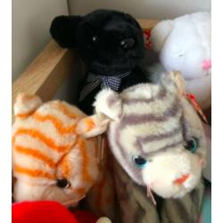 Beanie Babies and beanie buddies
