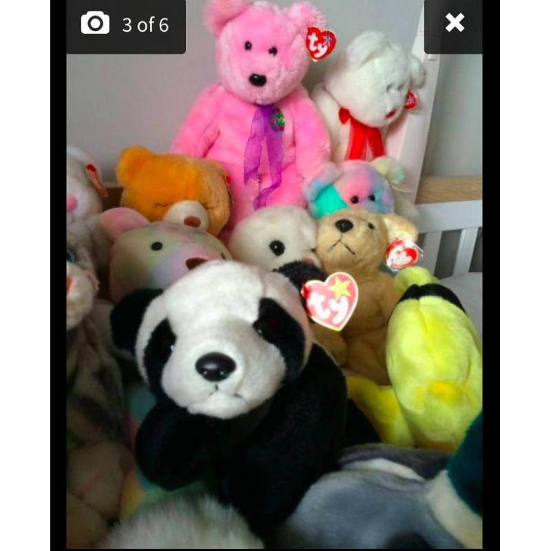 Beanie Babies and beanie buddies