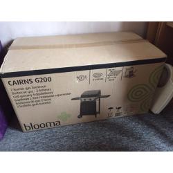 Gas BBQ & Gazebo