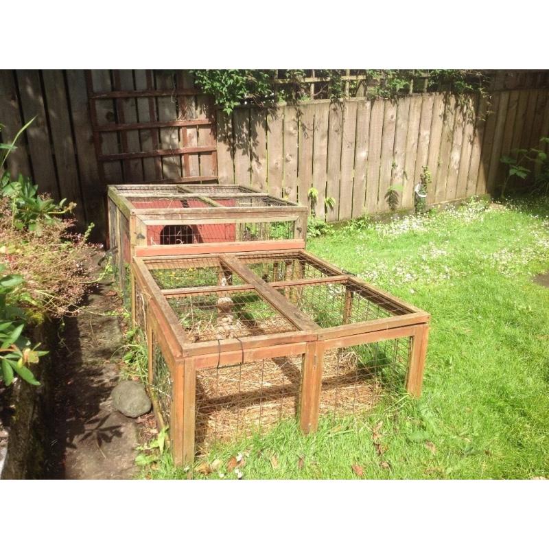 Rabbit Hutch and Extended Run Free for Uplift