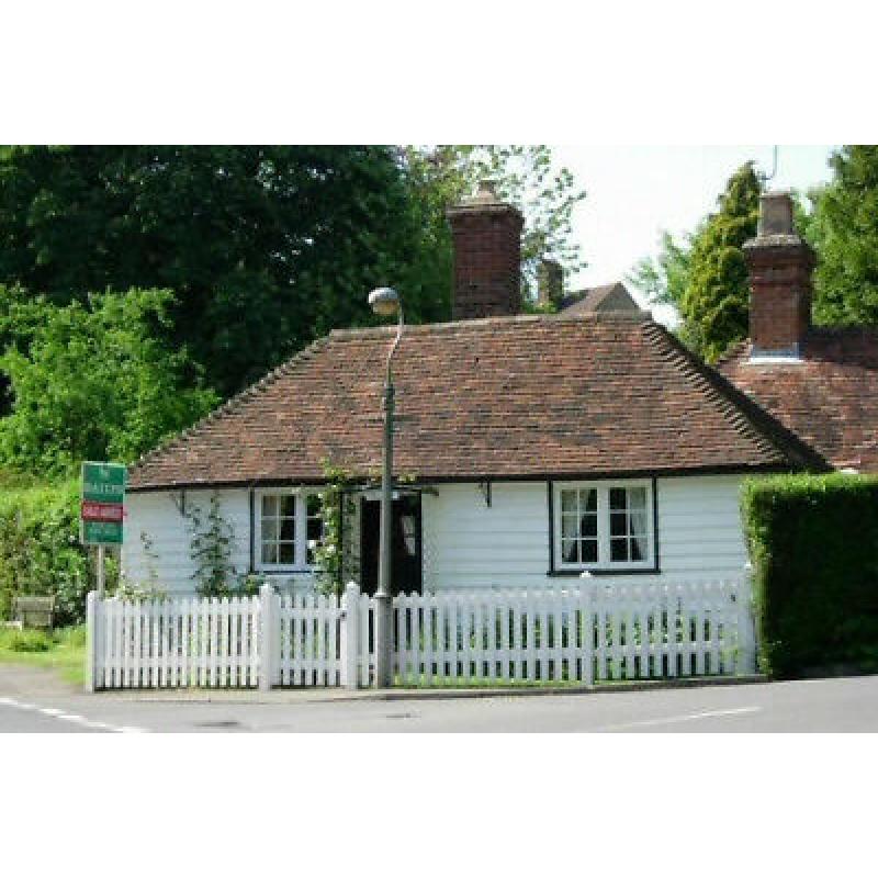 URGENT 2 females and an elderly dog in desperate need of a 2bed+ property