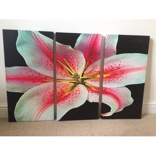 3 piece canvas of a lily