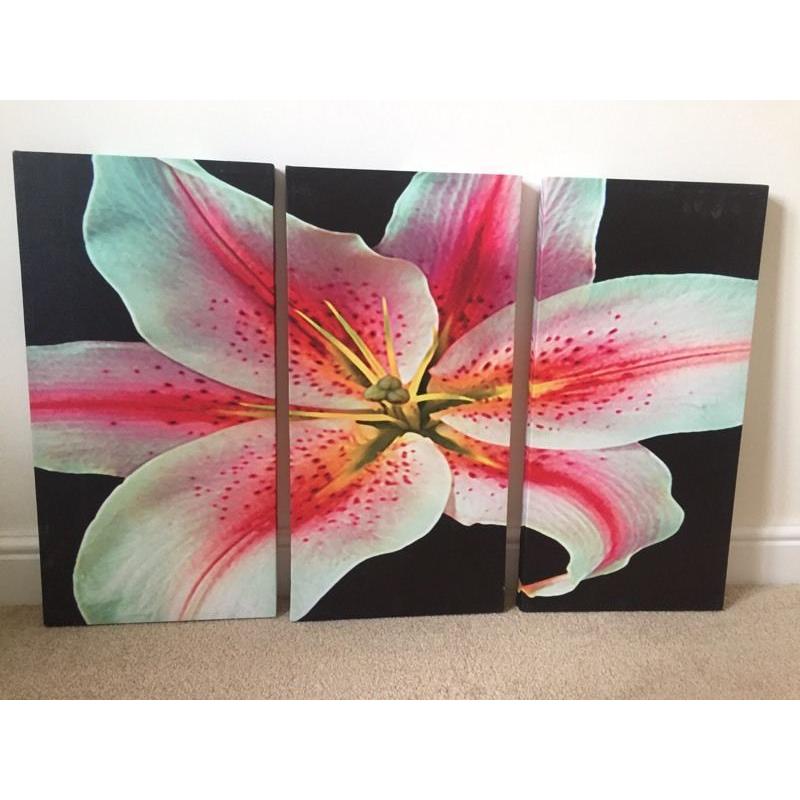 3 piece canvas of a lily