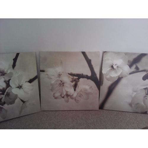 Ikea picture set of 3, 22 x 22" high quality canvas