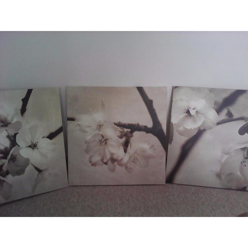 Ikea picture set of 3, 22 x 22" high quality canvas