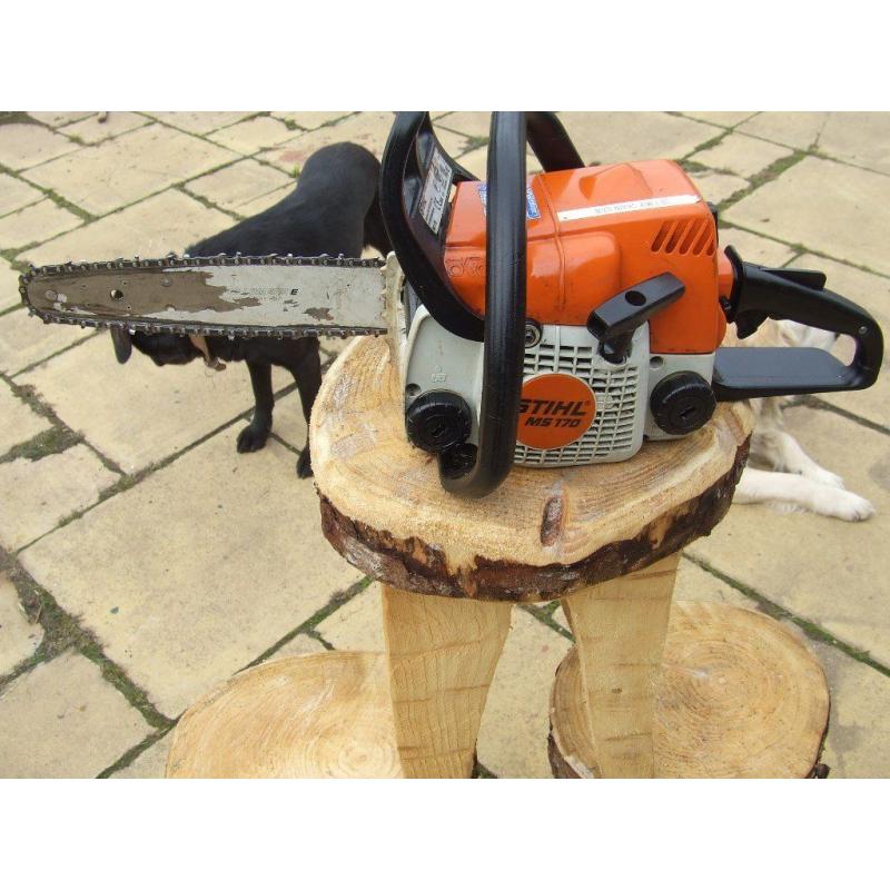 Stihl MS 170 Chainsaw 12inch bar brand new chain powerful lightweight chainsaw