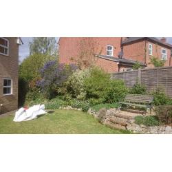 Somerhill Services | Landscape Gardening & Building Maintenance