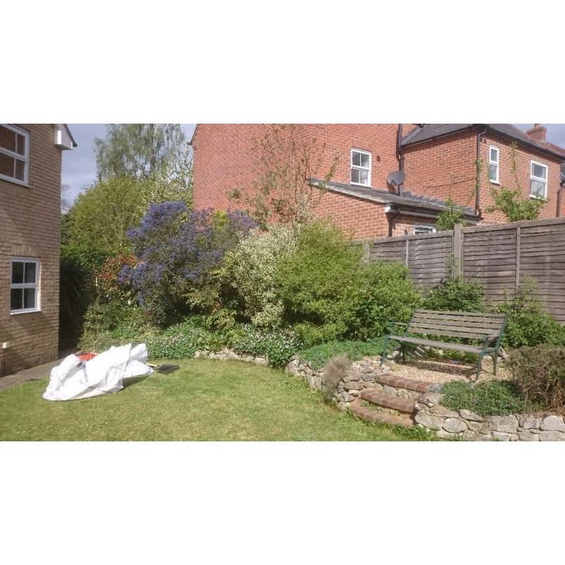 Somerhill Services | Landscape Gardening & Building Maintenance