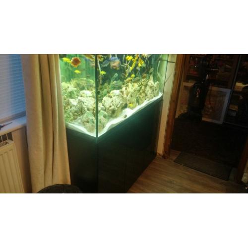 aquarium for sale