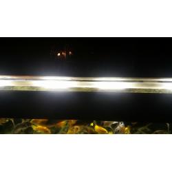 aquarium for sale