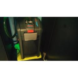 aquarium for sale